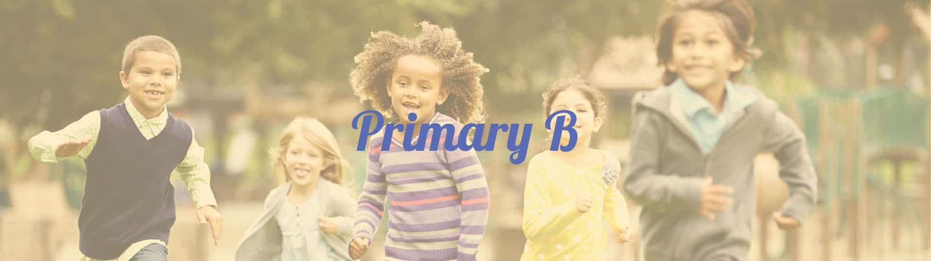 Primary B