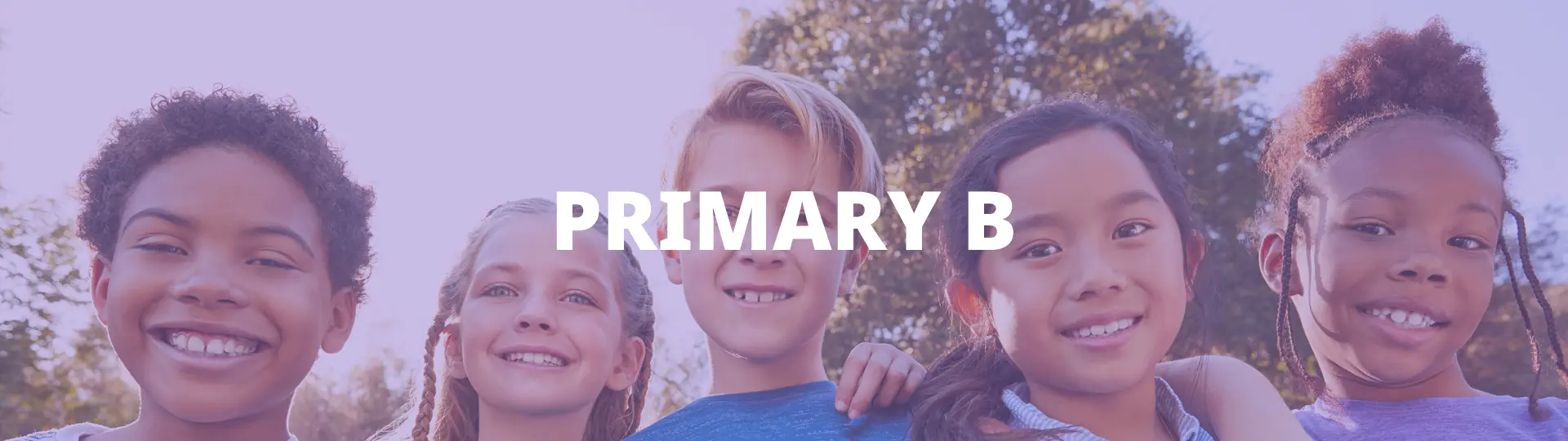 Primary B
