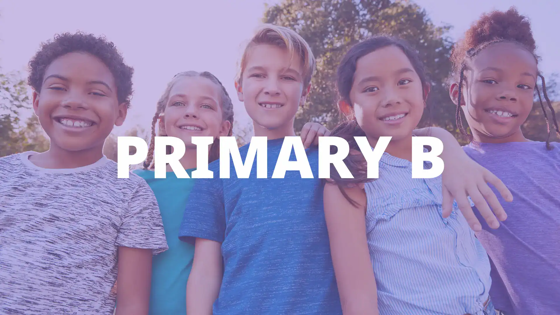 Primary B