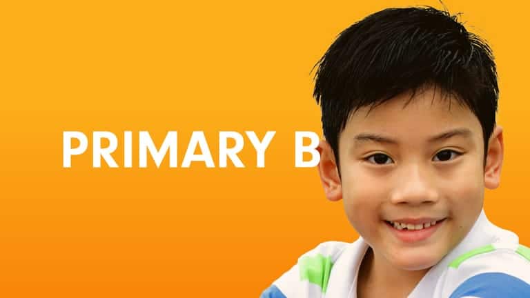 Primary B Division