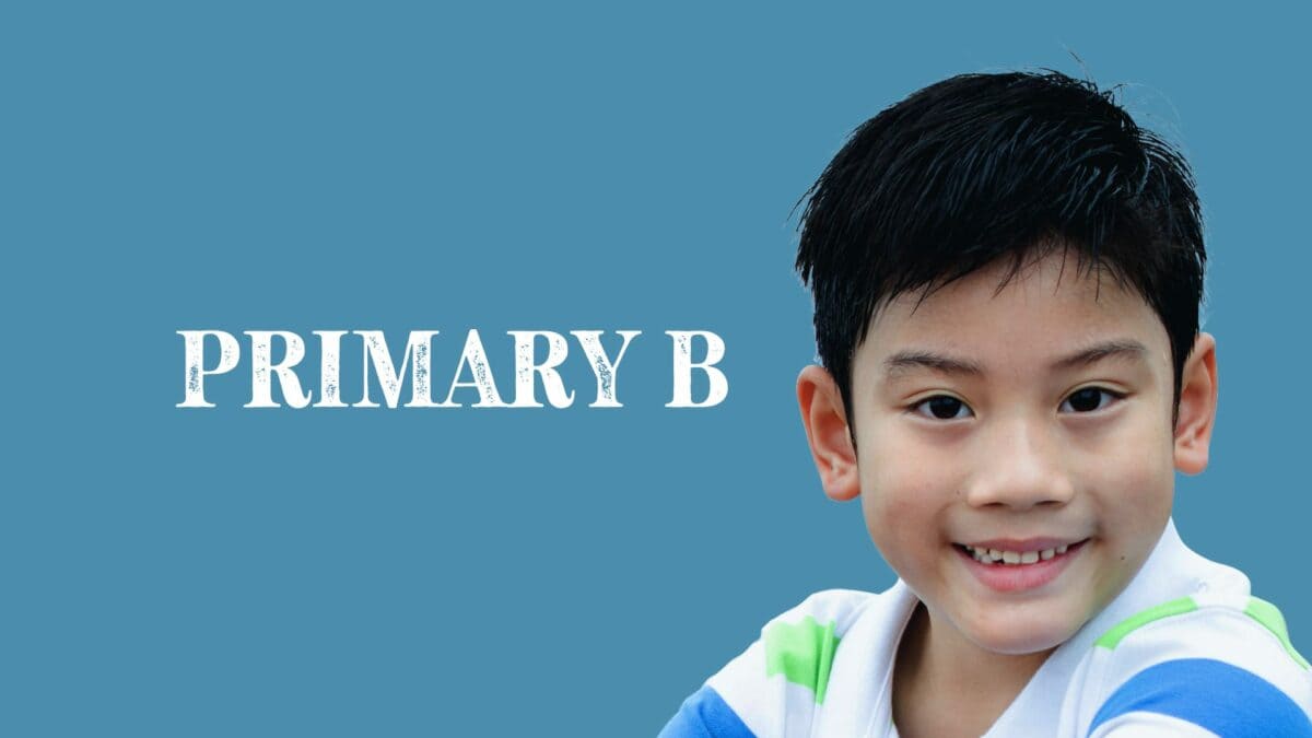 Primary B