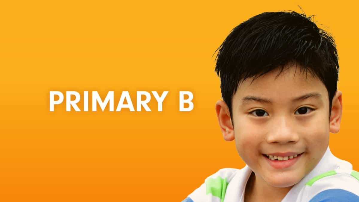 Primary B Division